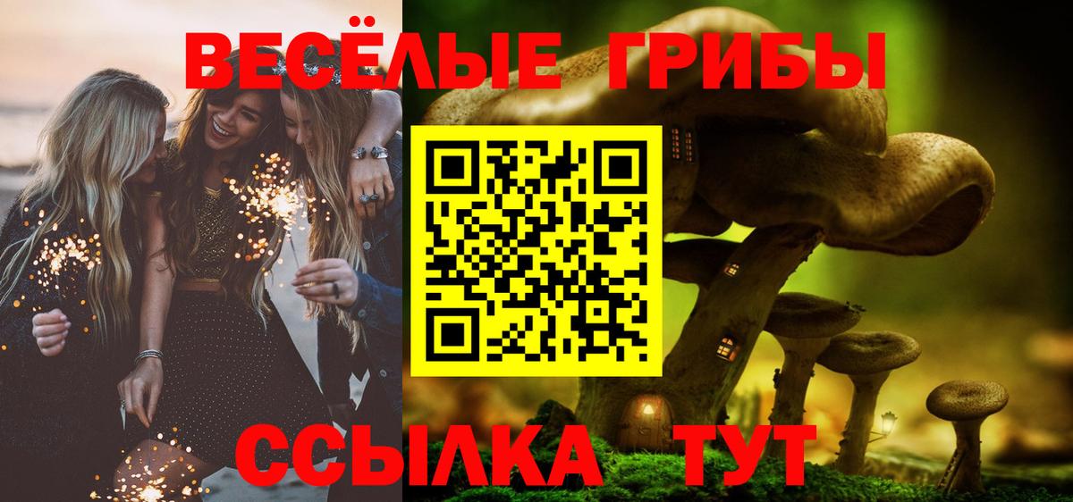 Псилоцибиновые грибы Magic Shrooms  Вход с VPN  Рославль  Галлюциногенные грибы GOLDEN TEACHER 